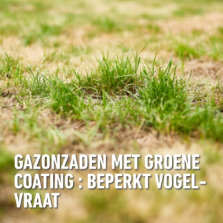 Compo Graszaad droogte | Compo | 80 m² (Strooidoos, 2 kg) 2387802017 K170116057 - 7