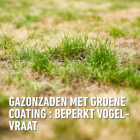 Compo Graszaad droogte | Compo | 80 m² (Strooidoos, 2 kg) 2387802017 K170116057 - 7
