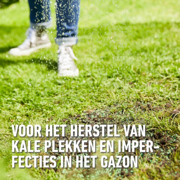 Compo Graszaad herstel | Compo | 100 m² (Snel kiemend, Strooidoos, 2 kg) 1387402017 K170116058 - 2