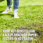 Compo Graszaad herstel | Compo | 100 m² (Snel kiemend, Strooidoos, 2 kg) 1387402017 K170116058 - 2