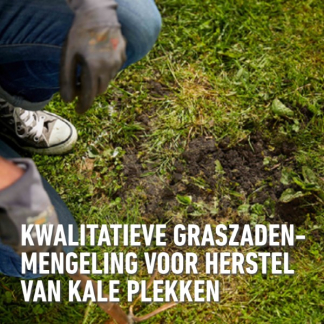 Compo Graszaad herstel | Compo | 100 m² (Snel kiemend, Strooidoos, 2 kg) 1387402017 K170116058 - 3