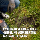 Compo Graszaad herstel | Compo | 100 m² (Snel kiemend, Strooidoos, 2 kg) 1387402017 K170116058 - 3