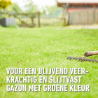 Compo Graszaad herstel | Compo | 130 m² (Kale plekken, 2.6 kg) 2383302017 K170115779 - 7