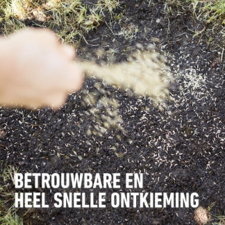 Compo Graszaad herstel | Compo | 130 m² (Snel kiemand, Kale plekken, 2.6 kg) 2383302017 K170115779 - 6