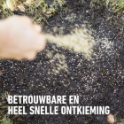Compo Graszaad herstel | Compo | 130 m² (Snel kiemand, Kale plekken, 2.6 kg) 2383302017 K170115779 - 6