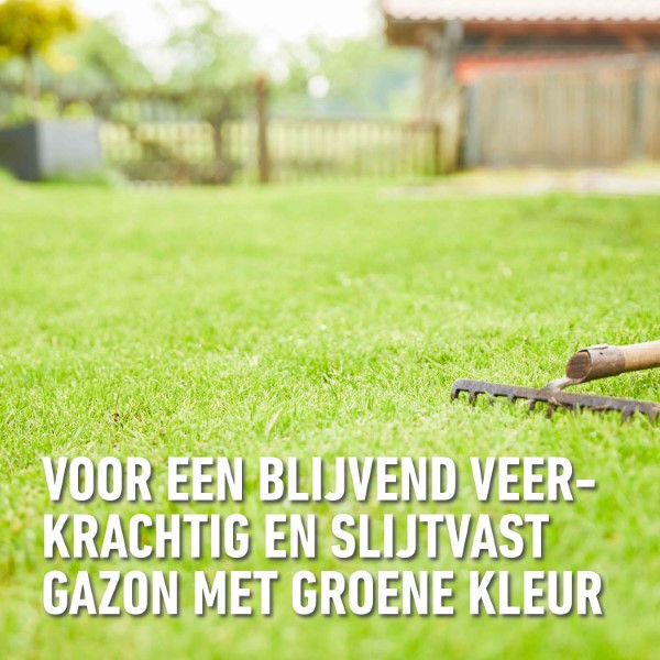 Compo Graszaad herstel | Compo | 130 m² (Snel kiemand, Kale plekken, 2.6 kg) 2383302017 K170115779 - 7
