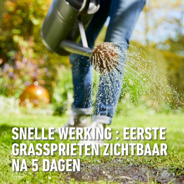 Compo Graszaad herstel | Compo | 50 m² (Snel kiemend, Strooidoos, 1 kg) 1388302017 K170116059 - 6