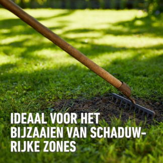 Compo Graszaad schaduw | Compo | 50 m² (Snel kiemend, Strooidoos, 1 kg) 1389602017 K170116060 - 4