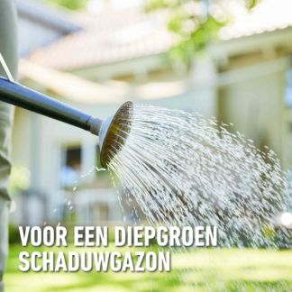 Compo Graszaad schaduw | Compo | 50 m² (Snel kiemend, Strooidoos, 1 kg) 1389602017 K170116060 - 6