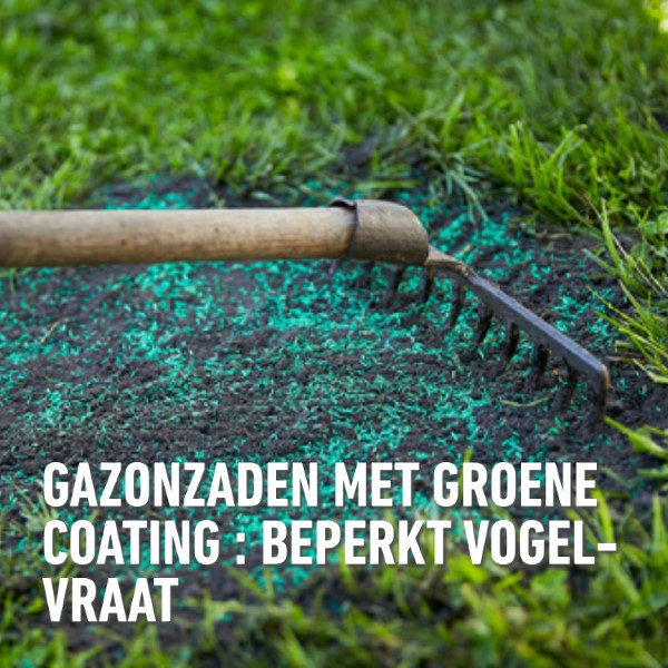 Compo Graszaad speelgazon | Compo | 100 m² (Snel kiemend, Strooidoos, 2 kg) 1388602017 K170501685 - 3