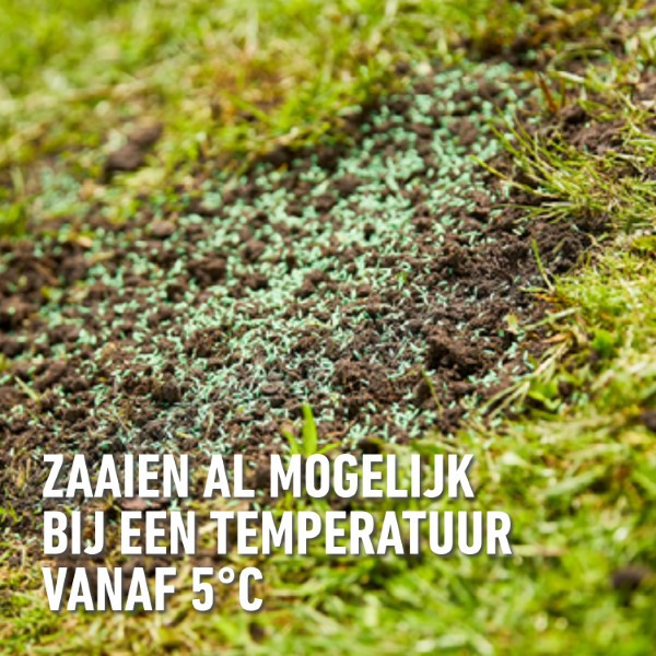 Compo Graszaad speelgazon | Compo | 100 m² (Snel kiemend, Strooidoos, 2 kg) 1388602017 K170501685 - 6