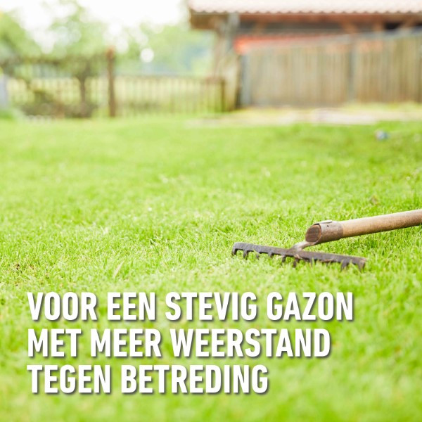 Compo Graszaad speelgazon | Compo | 25 m² (Snel kiemend, Strooidoos, 500 gram) 2181002017 K170501686 - 6