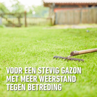 Compo Graszaad speelgazon | Compo | 50 m² (Snel kiemend, Strooidoos, 1 kg) 1388502017 K170501687 - 4