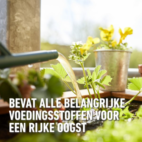 Compo Groenten en fruit voeding | Compo | 1 liter (Natuurlijk, Vloeibaar) 2864802017 K170116086 - 3