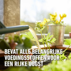 Compo Groenten en fruit voeding | Compo | 1 liter (Natuurlijk, Vloeibaar) 2864802017 K170116086 - 3