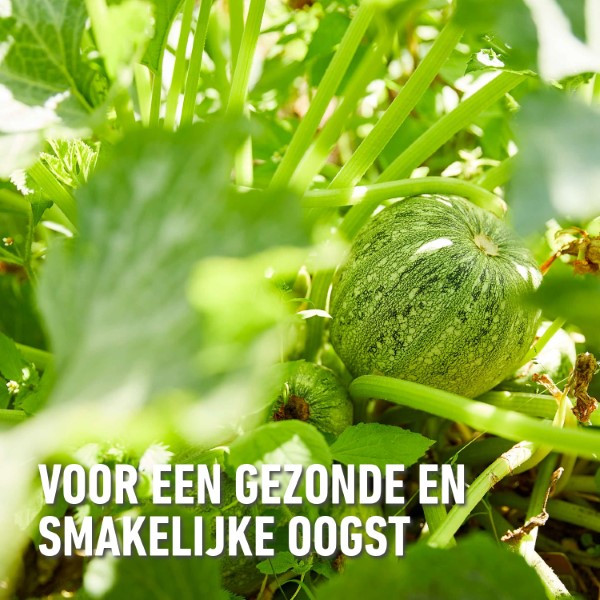 Compo Groenten en fruit voeding | Compo | 1 liter (Natuurlijk, Vloeibaar) 2864802017 K170116086 - 5