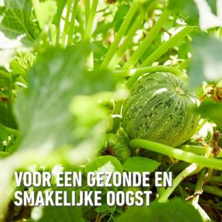 Compo Groenten en fruit voeding | Compo | 1 liter (Natuurlijk, Vloeibaar) 2864802017 K170116086 - 5