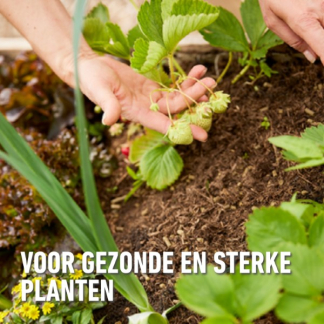 Compo Groenten en fruit voeding | Compo | 1 liter (Natuurlijk, Vloeibaar) 2864802017 K170116086 - 6