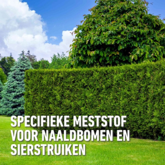 Compo Hagen en coniferen mest | Compo | 2 kg (Hersluitbaar) 1556212017 2561202017 K170116259 - 3