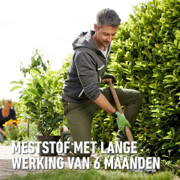 Compo Hagen en coniferen mest | Compo | 2 kg (Hersluitbaar) 1556212017 2561202017 K170116259 - 4