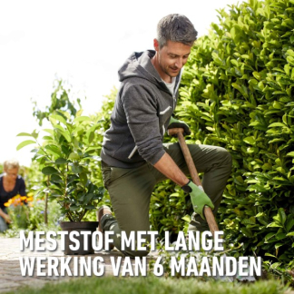 Compo Hagen en coniferen mest | Compo | 2 kg (Hersluitbaar) 1556212017 2561202017 K170116259 - 4