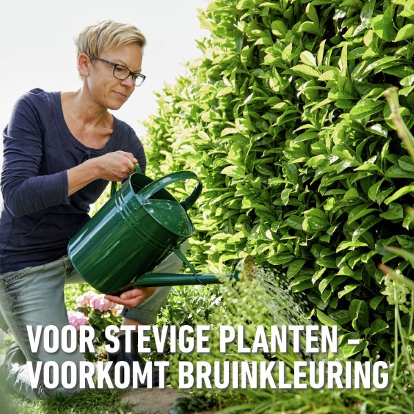 Compo Hagen en coniferen mest | Compo | 2 kg (Hersluitbaar) 1556212017 2561202017 K170116259 - 6