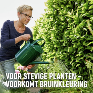 Compo Hagen en coniferen mest | Compo | 2 kg (Hersluitbaar) 1556212017 2561202017 K170116259 - 6