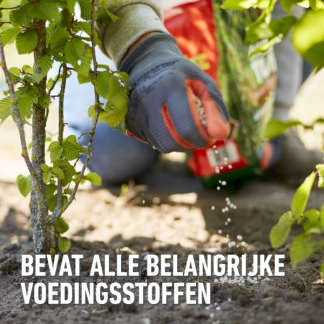 Compo Hagen en coniferen mest | Compo | 4 kg (Hersluitbaar) 2246602017/2246602017 K170116271 - 5