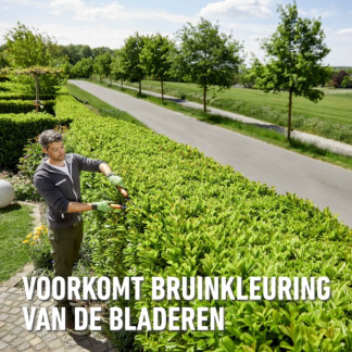 Compo Hagen en coniferen mest | Compo | 4 kg (Hersluitbaar) 2246602017/2246602017 K170116271 - 6