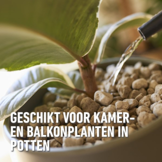 Compo Hydrokorrels | Compo | 10 liter (Granuplant®, Natuurlijk, Puimsteen, Bio-label) 2864401017 K170116266 - 3