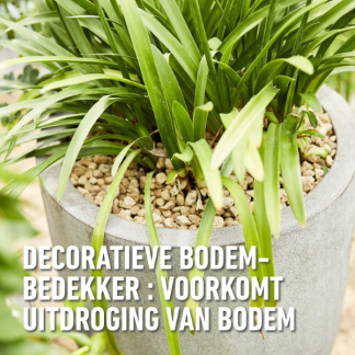 Compo Hydrokorrels | Compo | 25 liter (Granuplant®, Natuurlijk, Puimsteen, Bio-label) 2864504017 K170116267 - 5