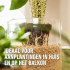 Compo Hydrokorrels | Compo | 3 liter (Granuplant®, Natuurlijk, Puimsteen, Binnen, Bio-label) 2881701017 K170116269 - 4