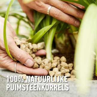 Compo Hydrokorrels | Compo | 40 liter (Granuplant®, Natuurlijk, Puimsteen, Bio-label) 2864604017 K170116268 - 7