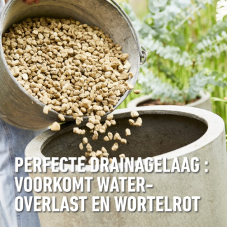 Compo Hydrokorrels | Compo | 5 liter (Granuplant®, Natuurlijk, Puimsteen, Bio-label) 2864301017 K170116265 - 6