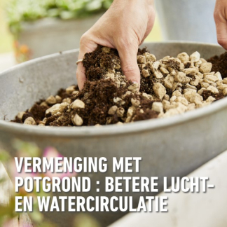 Compo Hydrokorrels | Compo | 5 liter (Granuplant®, Natuurlijk, Puimsteen, Bio-label) 2864301017 K170116265 - 8