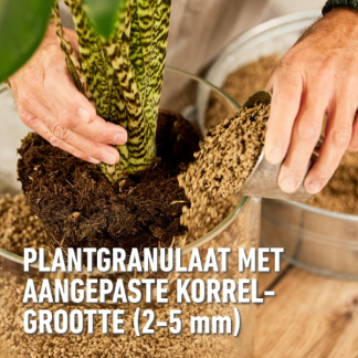 Compo Hydrokorrels | Compo | Granuplant® | 3 liter (Natuurlijk, Puimsteen, Binnen, Bio-label) 2881701017 K170116269 - 5