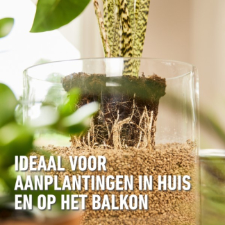 Compo Hydrokorrels | Compo | Granuplant® | 3 liter (Natuurlijk, Puimsteen, Binnen, Organisch) 2881701017 K170116269 - 4