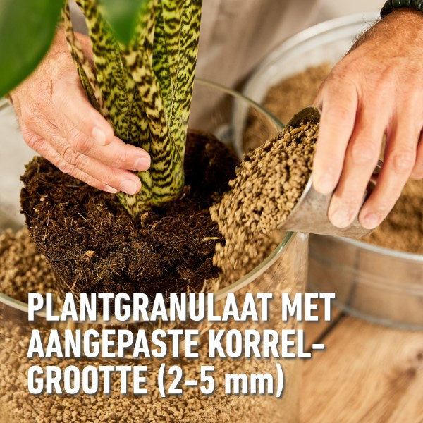 Compo Hydrokorrels | Compo | Granuplant® | 3 liter (Natuurlijk, Puimsteen, Binnen, Organisch) 2881701017 K170116269 - 5