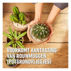 Compo Hydrokorrels cactussen | Compo | 3 liter | Granuplant® (Ook voor vetplanten, Bio-label) 2522501017 K170115944 - 3
