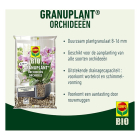 Compo Hydrokorrels orchideën | Compo | Granuplant® | 3 liter (Organisch) 2457701017 K170115943 - 2