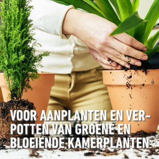 Compo Kamerplanten potgrond | Compo | Sana | 10 liter (Meststof) 1143111017 K170116075 - 4