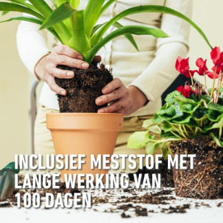 Compo Kamerplanten potgrond | Compo | Sana | 20 liter (Meststof) 1145124017 K170116076 - 3