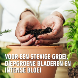 Compo Kamerplanten potgrond | Compo | Sana | 20 liter (Meststof) 1145124017 K170116076 - 4