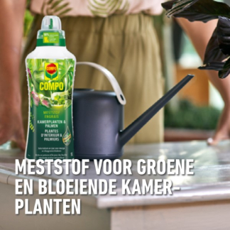Compo Kamerplanten voeding | Compo | 1 liter (Vloeibaar) 1444122017 K170116069 - 2