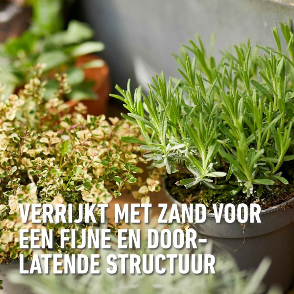 Compo Kruiden potgrond | Compo | 10 liter (Natuurlijk, Organisch) 1062301017 K170116080 - 6