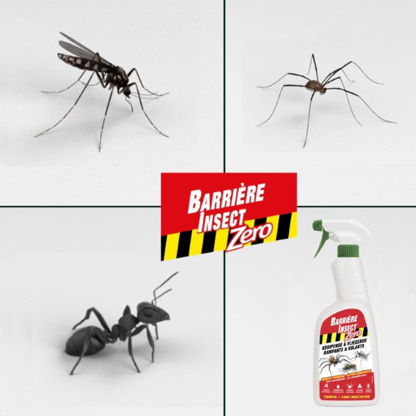Compo Kruipende en vliegende insecten spray | Compo | 500 ml (Gebruiksklaar) 2701002017 K170115782 - 3