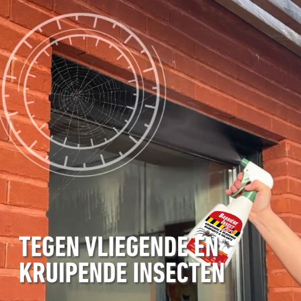 Compo Kruipende en vliegende insecten spray | Compo | 500 ml (Gebruiksklaar) 2701002017 K170115782 - 4
