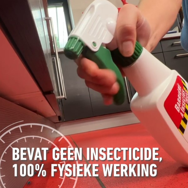 Compo Kruipende en vliegende insecten spray | Compo | 500 ml (Gebruiksklaar) 2701002017 K170115782 - 5