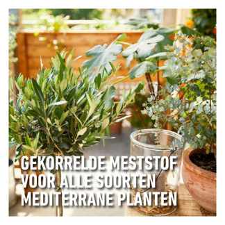 Compo Mediterrane planten mest | Compo | 2 kg (65 m²) 2615302017 K170115950 - 3