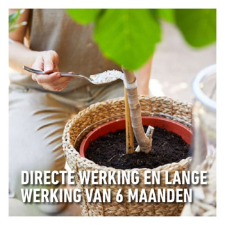 Compo Mediterrane planten mest | Compo | 2 kg (65 m²) 2615302017 K170115950 - 4